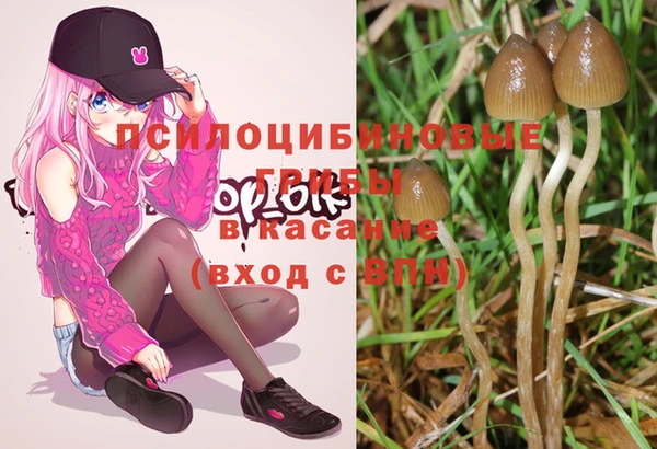 mix Елизово