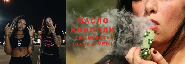 гидра Ельня
