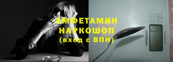 гидра Ельня