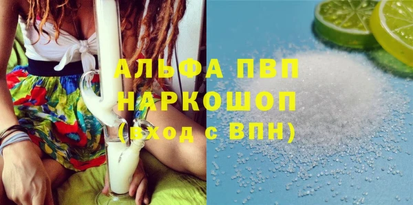 ПСИЛОЦИБИНОВЫЕ ГРИБЫ Елабуга