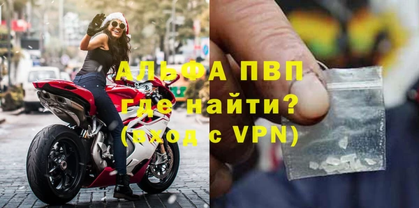гидра Ельня