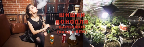 гидра Ельня