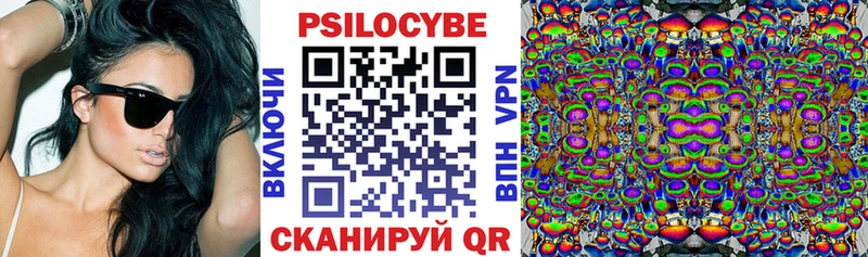 Галлюциногенные грибы Psilocybine cubensis  Купить  Кремёнки 